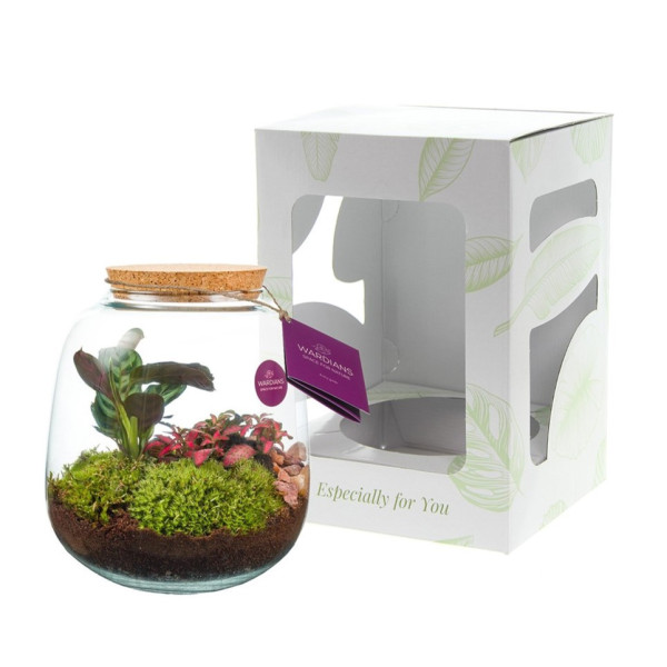 Wardians® Ecosystem - Sphere medium