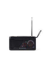 zwart (± PMS Black)