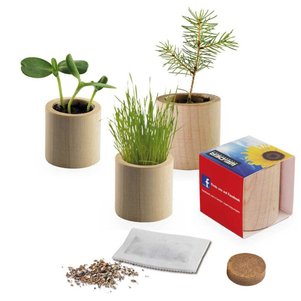 Houten plantenset rond met zaden