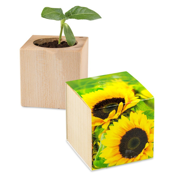 Houten kubus - standaard - Zonnebloemen